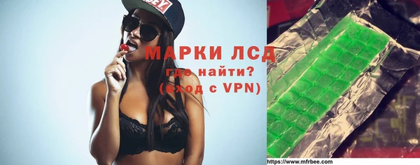 шишки Бородино