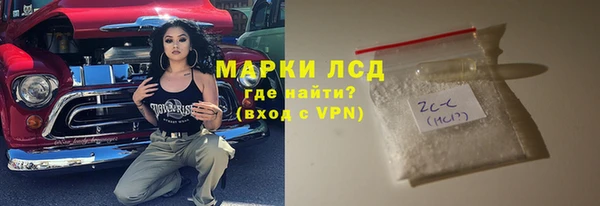 шишки Бородино
