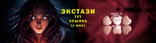 дживик Богородицк