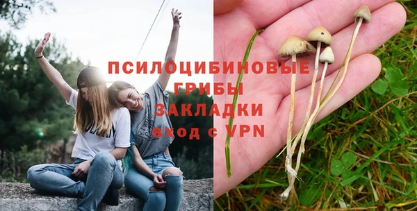 хмурый Бронницы