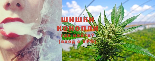 шишки Бородино