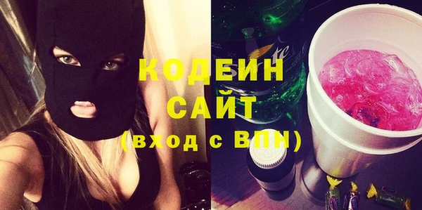 шишки Бородино
