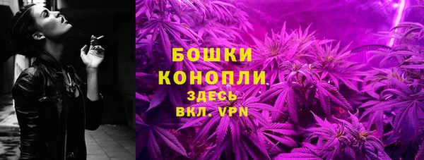 дживик Богородицк