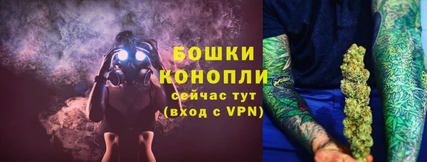 хмурый Бронницы