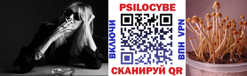 что такое   Буй  Псилоцибиновые грибы Magic Shrooms 